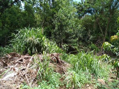 Terrain constructible - 5 300 m²