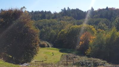 Maison - 131 m² - 6 pièces