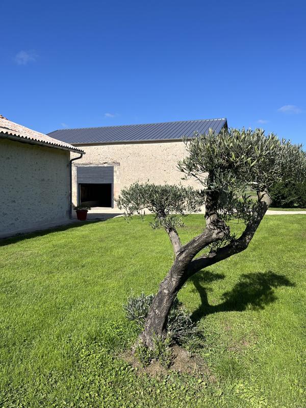 Maison ancienne - 220 m² - 7 pièces