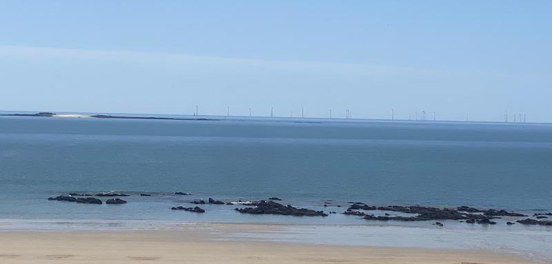 Appartement - 54 m² - 2 pièces