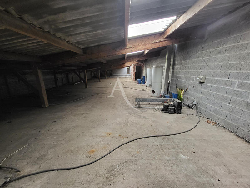 Local d'activité / Entrepôt - 1 035 m² - 8 pièces