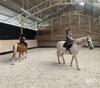 Local commercial - 8 310 m²