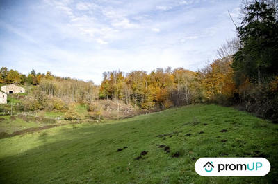 Terrain agricole - 30 568 m²