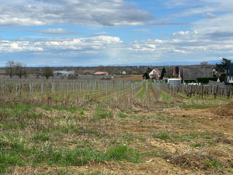 Maison - 97 m² - 5 pièces