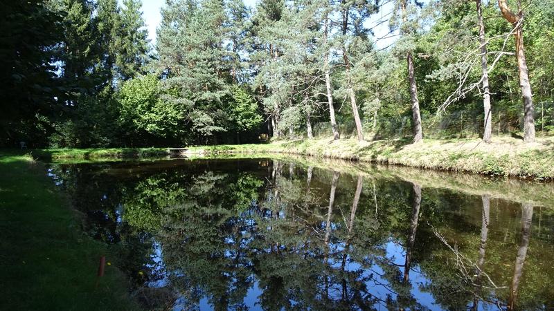 Terrain de loisirs - 3 900 m²