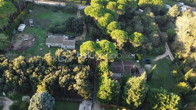 Terrain constructible - 9 600 m²