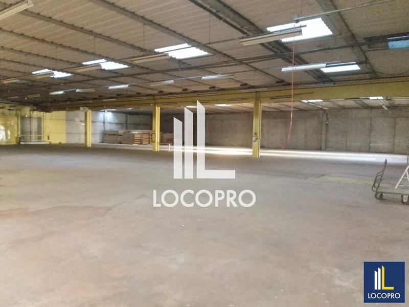 Local d'activité / Entrepôt - 3 000 m²