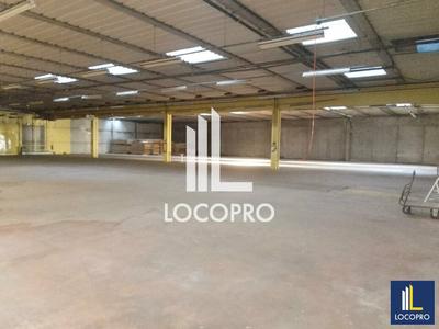 Local d'activité / Entrepôt - 3 000 m²