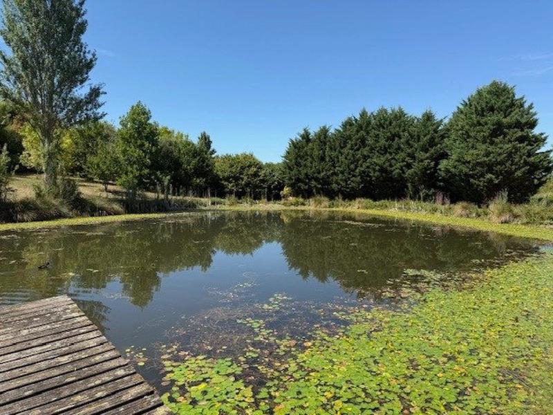 Maison - 170 m² - 5 pièces