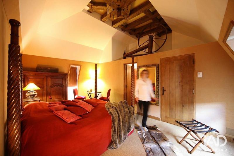 Château - 700 m² - 21 pièces