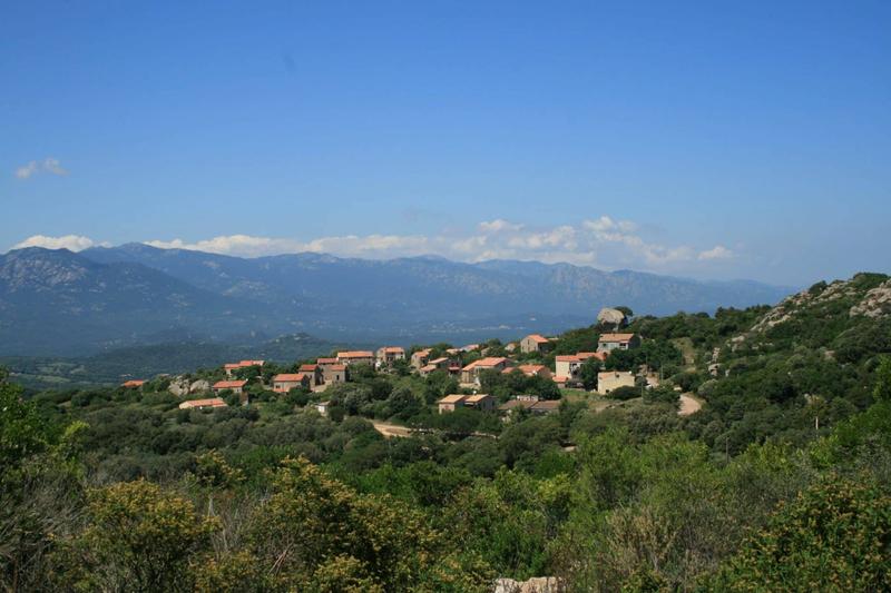 Maison - 63 m² - 3 pièces