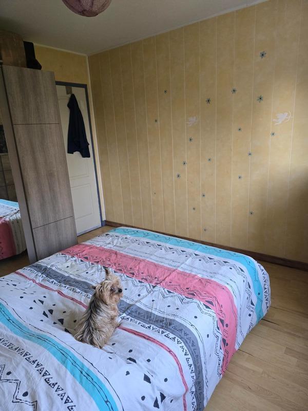 Maison - 165 m² - 5 pièces