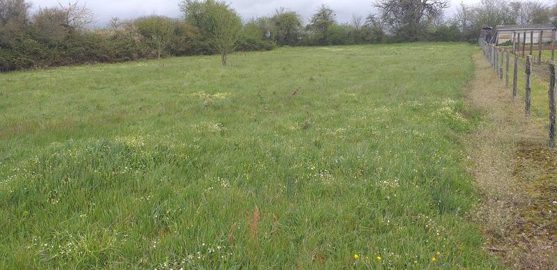 Terrain constructible - 5 540 m²