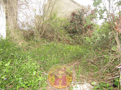 Maison - 79 m² - 3 pièces