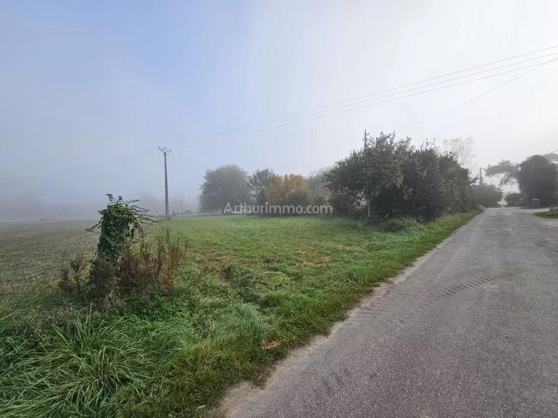 Viager - Maison - 90 m² - 4 pièces