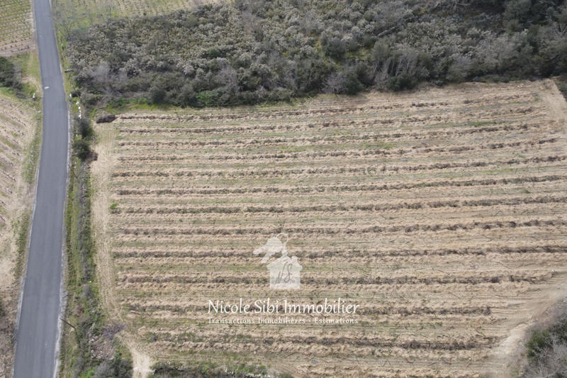 Terrain agricole - 7 897 m²