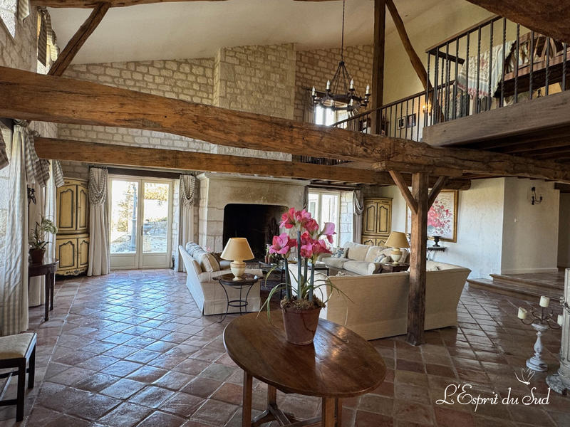 Maison - 750 m² - 21 pièces