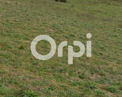 Terrain constructible - 1 538 m²