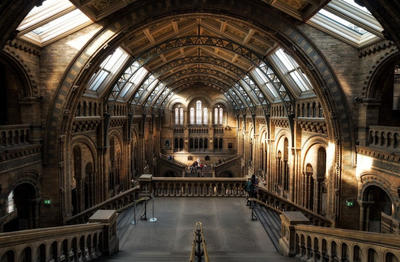 Nuit des musées | un musée dans le noir