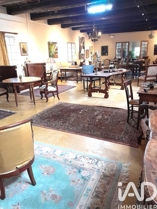 Maison - 500 m² - 11 pièces