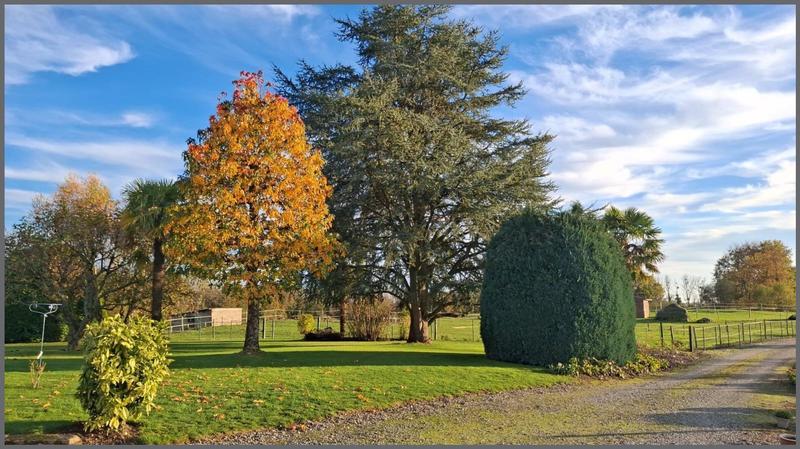 Ferme - 140 m² - 5 pièces