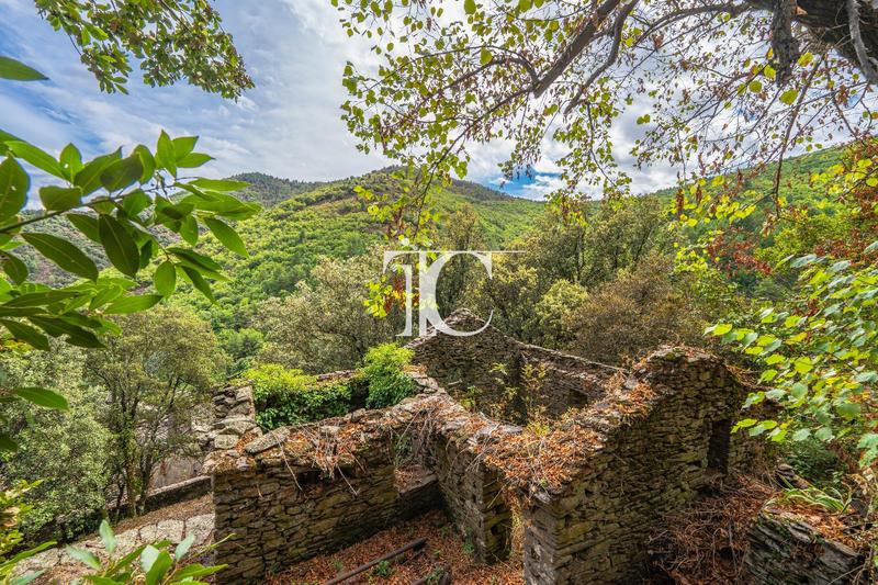 Maison en pierre - 82 m² - 7 pièces