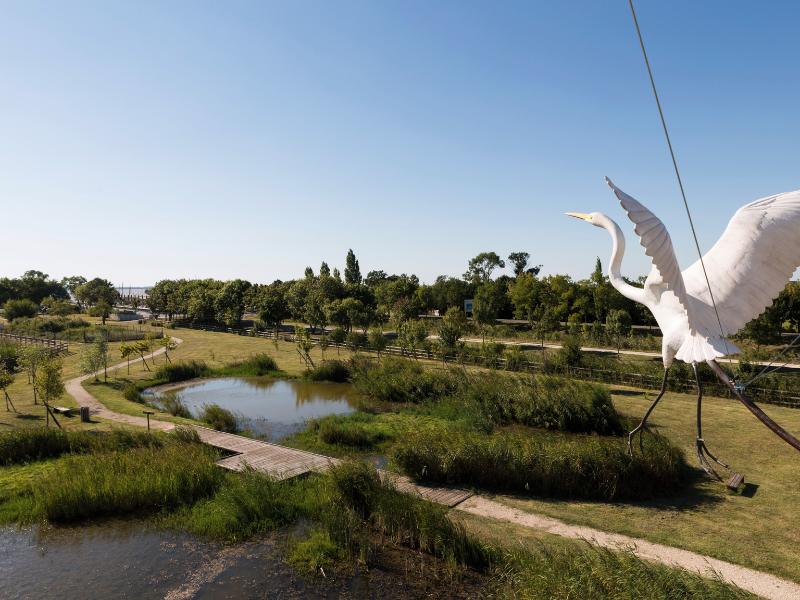 Semaine de la Biodiversité - Chantier participatif - Plantation d'une haie champêtre à Terres d'Oiseaux