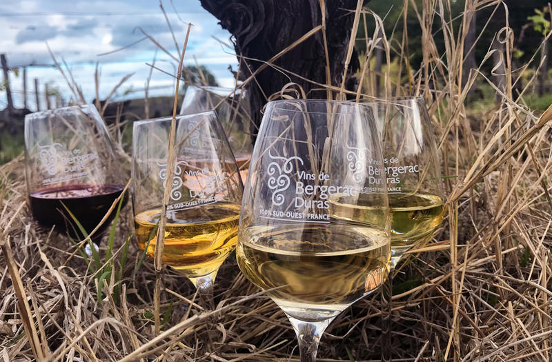 Dégustation de 4 vins | Vignobles Alard