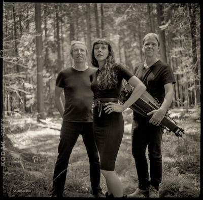 Concert Muddy Gurdy + Avril Milvoy (1e partie)