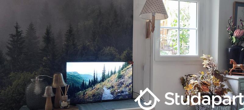 Maison - 36 m² - 1 pièce