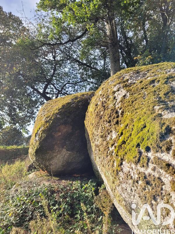 Maison - 151 m² - 8 pièces