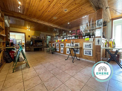 Maison - 350 m² - 9 pièces