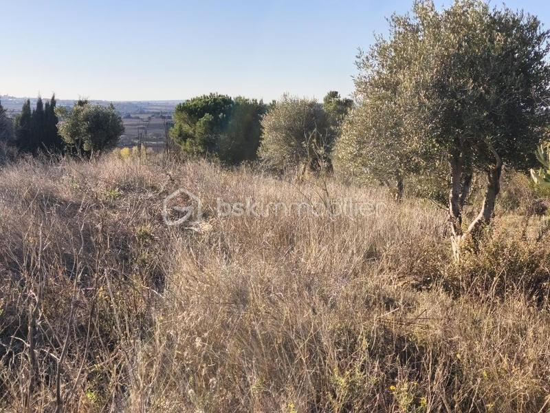 Terrain agricole - 35 000 m²