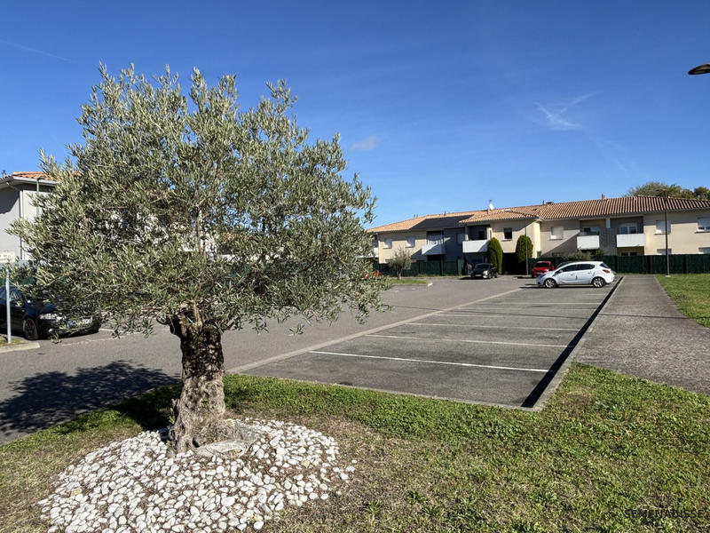 Appartement - 37 m² - 2 pièces