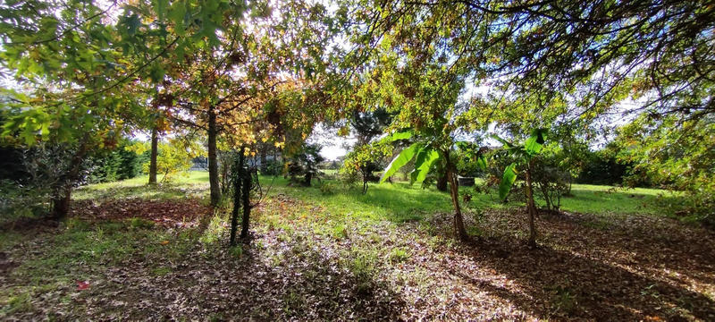 Maison - 200 m² - 6 pièces