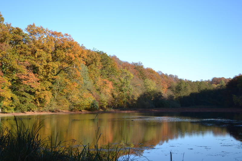 Randonnée pédestre guidée