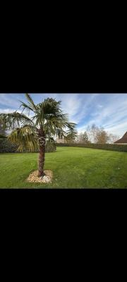 Propriété - 260 m² - 8 pièces