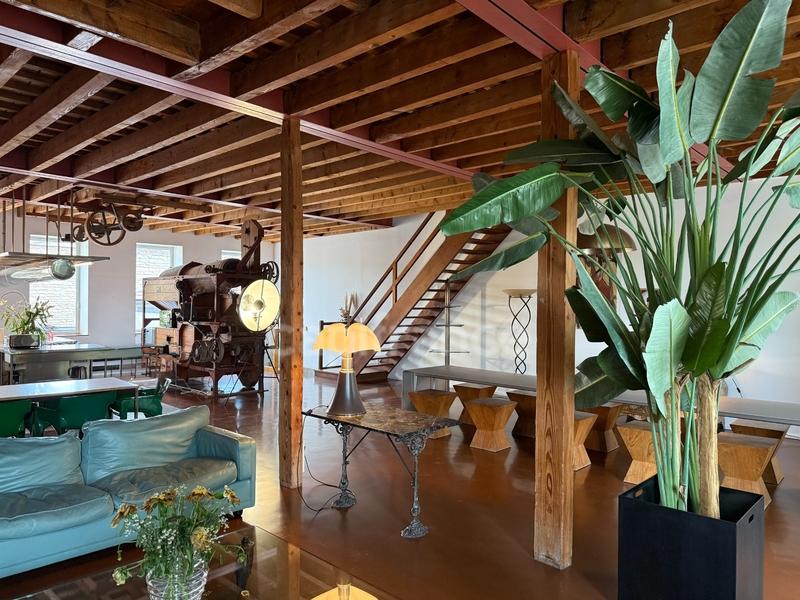 Maison bourgeoise - 596 m² - 5 pièces