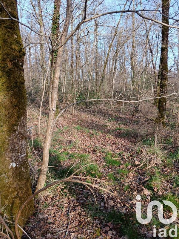 Terrain - 24 045 m²