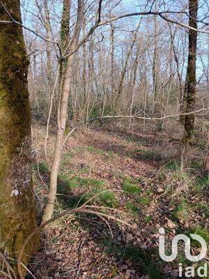 Terrain - 24 045 m²