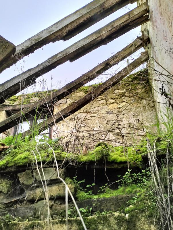 Maison - 62 m² - 1 pièce