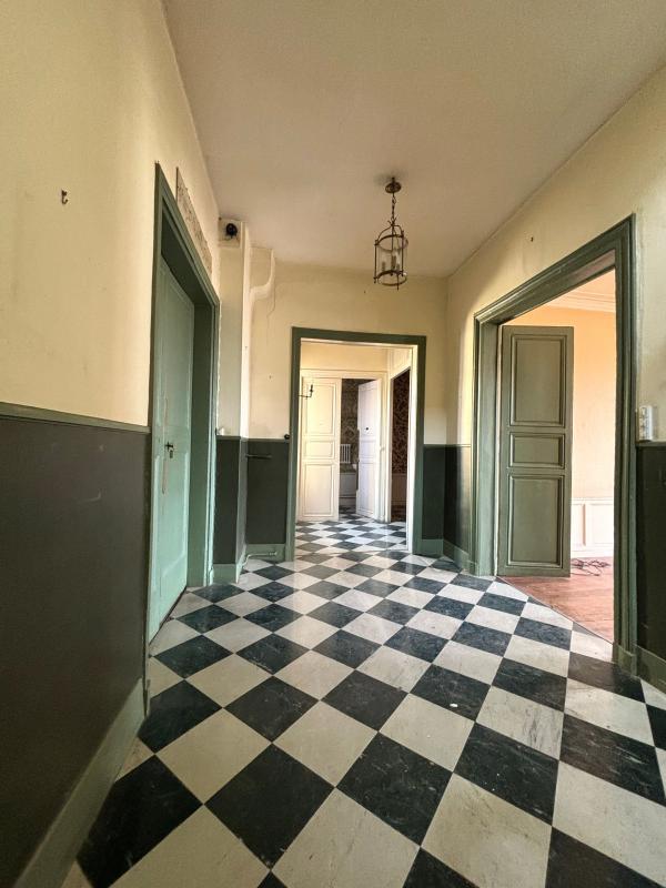 Hôtel particulier - 488 m² - 8 pièces