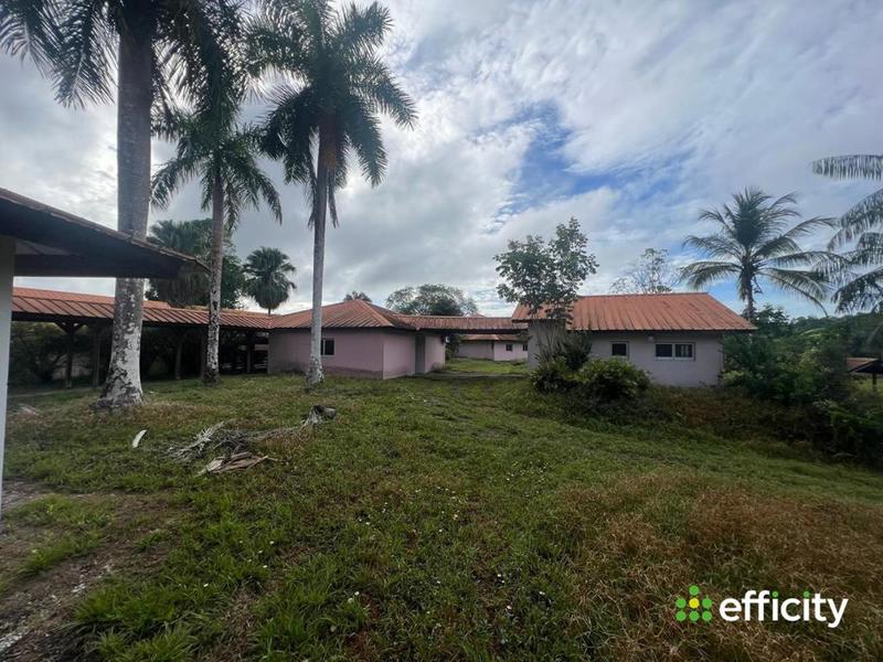 Immeuble - 1 429 m²