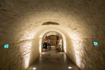 Visite guidée : au coeur des Casemates parcours petit Bayonne