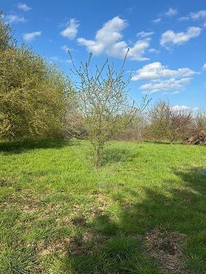 Maison - 109 m² - 5 pièces