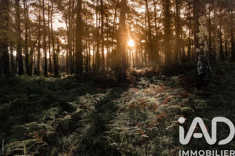 Maison - 170 m² - 5 pièces