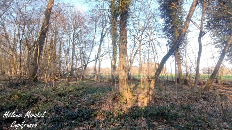 Terrain de loisirs - 3 640 m²