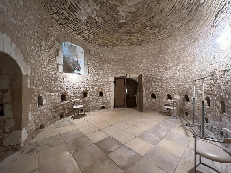 Manoir - 800 m² - 20 pièces