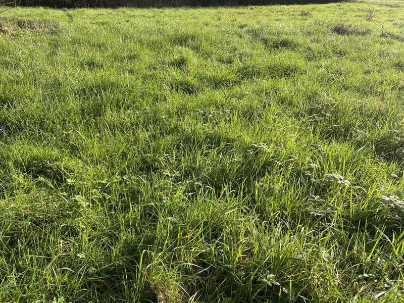 Terrain constructible - 640 m²