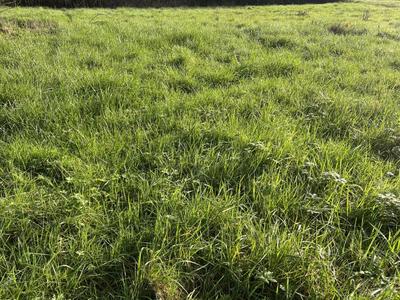 Terrain constructible - 640 m²